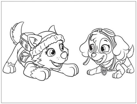 Everest and Skye Paw Patrol coloring page - Download, Print or Color ...