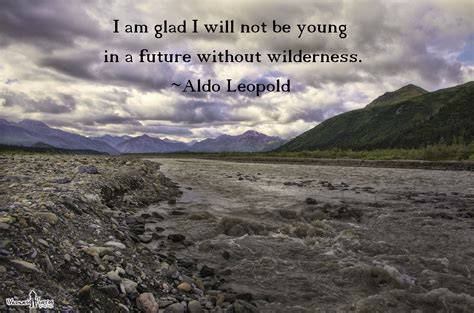 Aldo Leopold Quote 2 | Aldo leopold quotes, Nature quotes, Aldo leopold