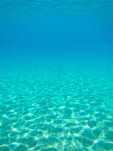 Underwater Sea Background Free Stock Photo - Public Domain Pictures