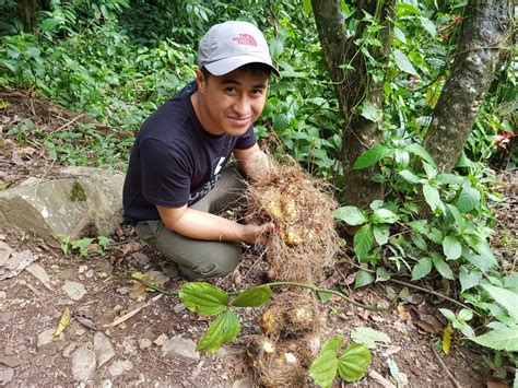 Learning from one of the marginalised sectors in society – the Higaonon ...