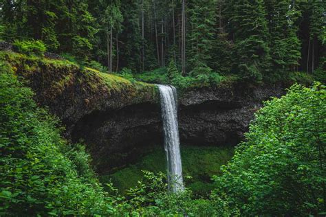 Your Guide to Silver Falls State Park—The Trail of 10 Falls & More