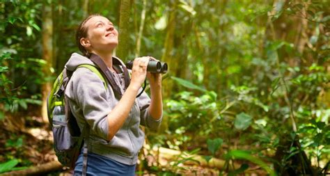 A Guide to Bird Watching for Beginners