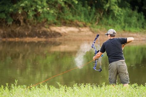 Best Bow For Bowfishing - Ultimate Hunting Guide