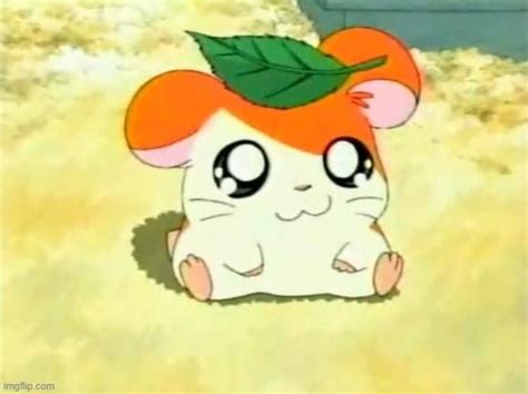 Hamtaro in 2021 | Hamtaro, Cute cartoon wallpapers, Cute characters