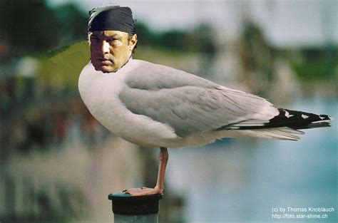 Steven Seagal - Uncyclopedia, the content-free encyclopedia