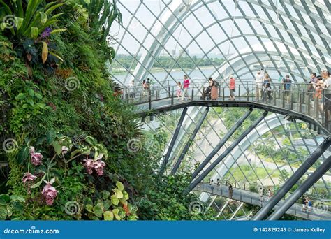 Inside View of the Flower Dome at Gardens by the Bay, Singapore Editorial Stock Photo - Image of ...