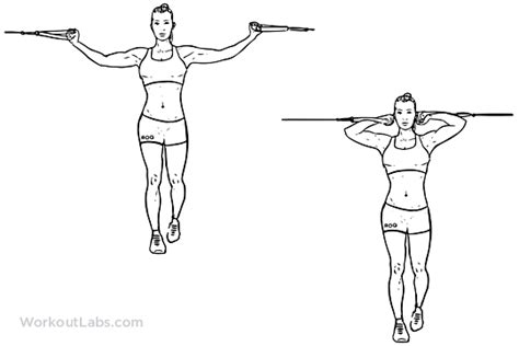 Overhead Cable Curl / Crucifix Curl | Illustrated Exercise guide - WorkoutLabs