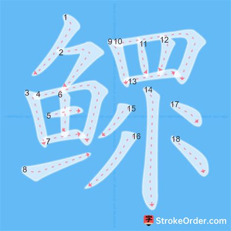 鳏 Chinese Stroke Order Animation - strokeorder.com