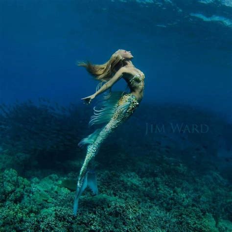 25+ best ideas about Mermaid swimming on Pinterest | Siren mermaid ...