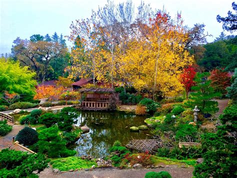 Green Space boeken in Saratoga | Spacebase