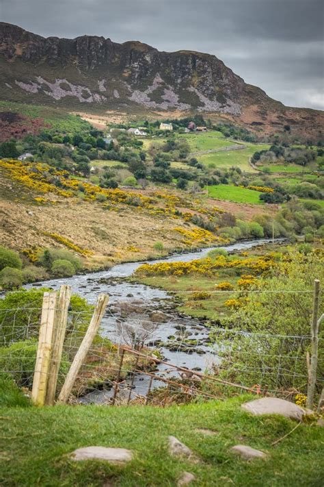 Green Irish landscape stock image. Image of farmland - 92492435