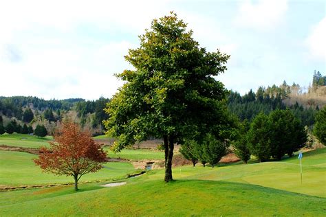 Golfer's Paradise Photograph by Ashley Warrick - Fine Art America