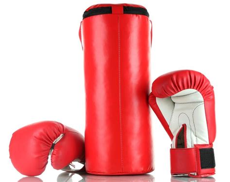 Premium Photo | Boxing gloves and punching bag isolated on white