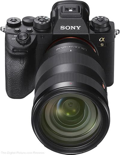 Sony Alpha 9 II Review