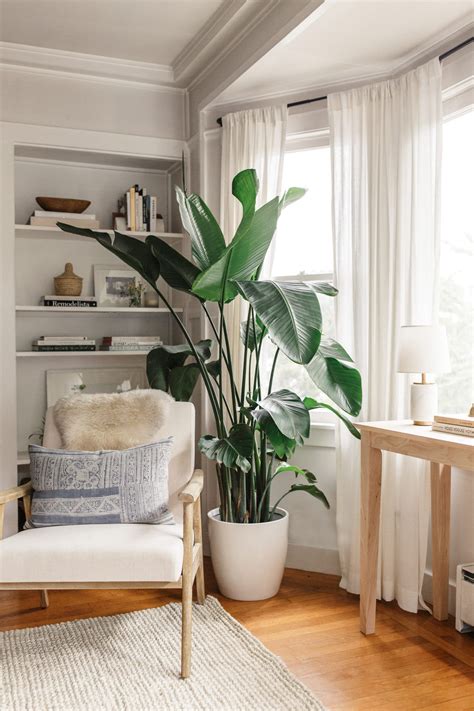 Living Room House Plant Ideas / If you buy from a link, we may earn a ...