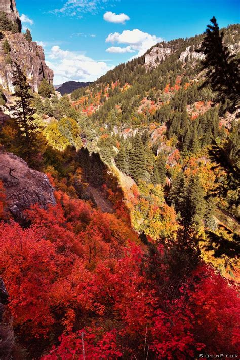 Climbing Logan Canyon UT in the fall. : r/climbing