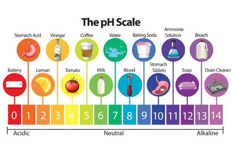 What Causes pH Imbalance? 5 Ways to Achieve pH Balance | Acid base balance, Teaching chemistry ...