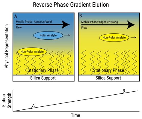 Reverse phase chromatography: Procedure, Advantages, Disadvantages