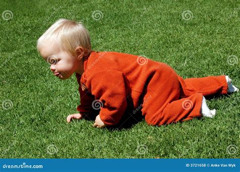 Baby crawling stock photo. Image of gorgeous, face, expression - 3721658