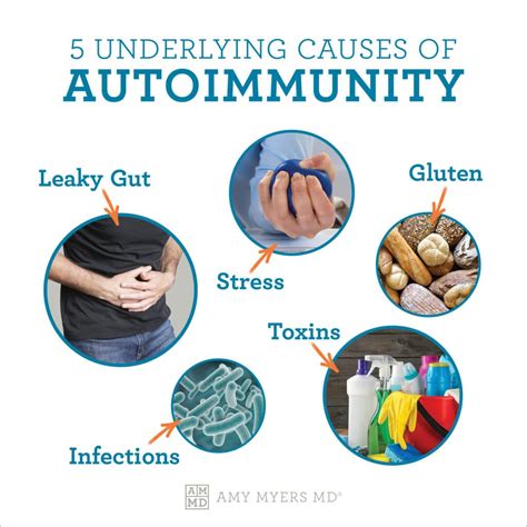 The Root Cause of Autoimmune Disease | Amy Myers MD