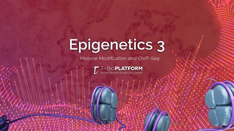 Epigenetics3: Histone Modification and ChIP-seq - YouTube