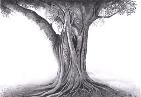 Pencil Sketch Save Tree Drawing Sketch - Goimages Fun