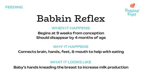 Go with the Flow: How the Babkin Reflex helps your Baby fill their Belly