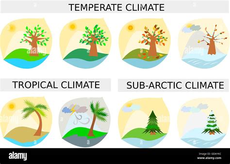 Seasons illustrations - various climate types in vector format Stock Vector Image & Art - Alamy