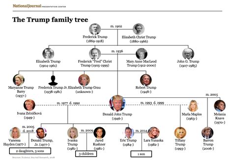 Trump family tree