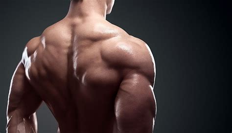 The Best Home Shoulder Workouts for Getting Bigger Delts - Onnit Academy