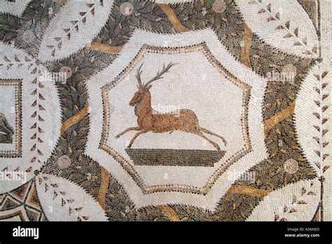 Mosaics in the Bardo Museum, Tunis, Tunisia Stock Photo - Alamy