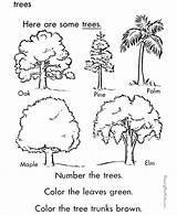 Get Creative With Tree Coloring Sheets sketch template