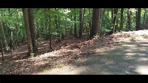 trail at goose point campground Bassett va - YouTube