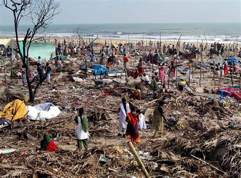 Indian Ocean Tsunami: How the natural disaster sparked a huge fertility boom | The Independent ...