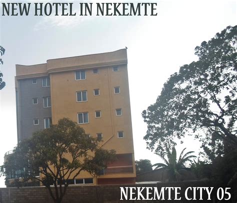 Nekemte-city