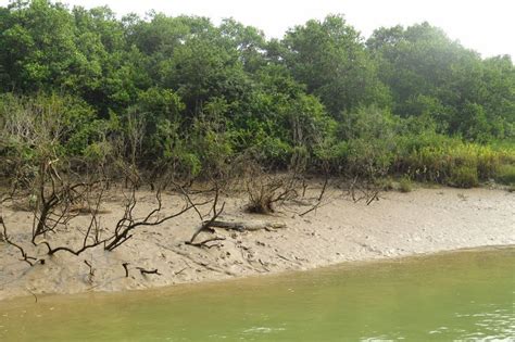 Bhitarkanika National Park - True Indian Traveller