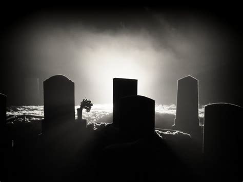 Free stock photo of cemetery, creepy, fog