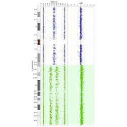 Single Nucleotide Polymorphism (SNP) Microarray - WiCell