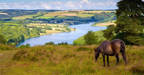 Campsites in Exmoor - the best sites for camping in Exmoor