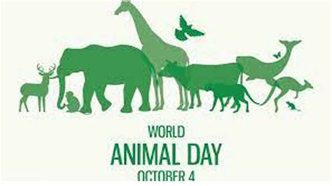 World Animal Day 2021: History, Significance, Quotes and Wishes | INDToday