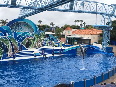 Discount SeaWorld San Diego Tickets | Tripster