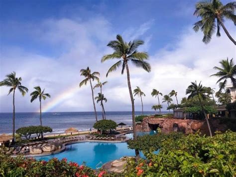 an outdoor swimming pool with palm trees and rainbow in the sky over ...