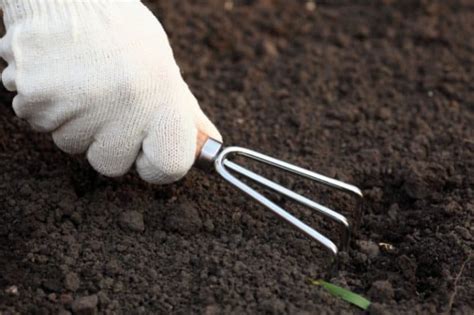 7 Of The Best Hand Tillers To Prepare The Soil And Make Planting Easier