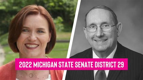 2022 Michigan State Senate 29th District Race