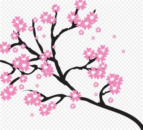 Paling Keren 30 Contoh Lukisan Bunga Sakura Yang Mudah - Galeri Bunga HD