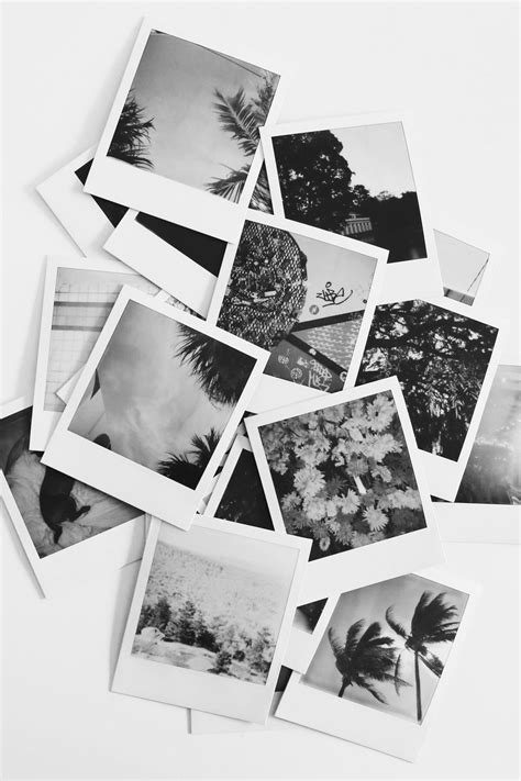 Pin by Cristina on . Click . | Black and white photo wall, Polaroid photography, Black and white ...