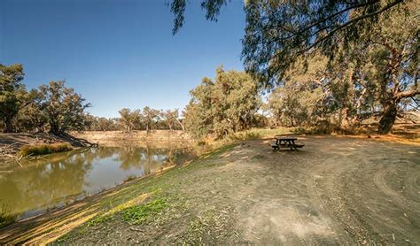 Darling River campground | NSW National Parks