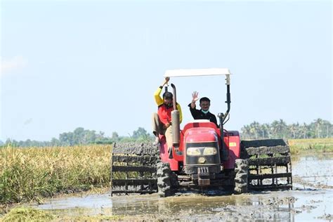 Tingkatkan Produktivitas Pertanian, Ini Inovasi dan Modernisasi yang Dilakukan Kementan ...