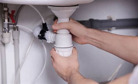 Drain flies: how to find and stop an infestation