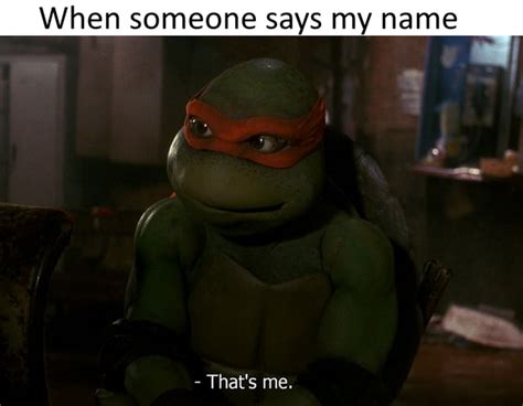 Teenage Mutant Ninja Turtle Memes Are Totally Radical - Teenage Mutant ...